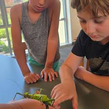 What a gorgeous evening to have a Blue Oak past and current board member  gathering at the beautiful Ackerman Heritage House. How wonderful it was to  reconnect! Thank you all for coming!