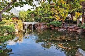 It is next to the grimaldi forum convention centre. Le Jardin Japonais Monaco