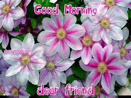 Maybe you would like to learn more about one of these? Good Morning Dear Friend Good Morning Graphics For Facebook Tagged Facebook Tumblr Hi5 Friendster Blogs Tumbr Twitter Google Google Plus Pinterest Linkedin