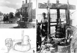 So is this what you waited for i can't help you figure it out to break into the heart of the expectation it takes a night to figure it out know we're in this one we're not really in it until we've. A Photo Of Villagers Grinding Olives In Stone Mill B Illustration Download Scientific Diagram