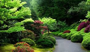 Objek pemandangan alam merupakan salah satu yang menjadi perhatian banyak orang ketika ingin rekreasi atau sekedar melepas penat. Gambar Pemandangan Gunung Terindah Di Dunia 110 Portland Japanese Garden Japanese Garden Japan Garden
