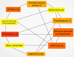 Image result for Extended Spectrum Penicillin