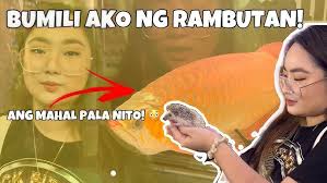 SURPRISE PUPPY TO OUR DAUGHTER