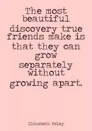 Birthday Wishes For Bff Funny True Friends The Most Beautiful Discovery True Friends Make Quotes F Happy Birthday Quotes For Friends Happy Birthday Quotes Funny Friend Birthday Quotes