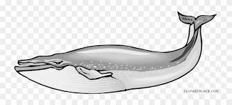 Check spelling or type a new query. Blue Whale Animal Free Black White Clipart Images Clipartblack Humpback Whale Female Whale Clipart Free Transparent Png Clipart Images Download