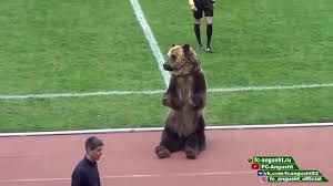 Mater la ligue 1, la ligue des champions, l'uefa europa league, la dailymotion non, il n'y a pas que des chats qui tombent d'une chaise sur dailymotion. Un Ours Donne Le Coup D Envoi D Un Match De Foot En Russie Youtube