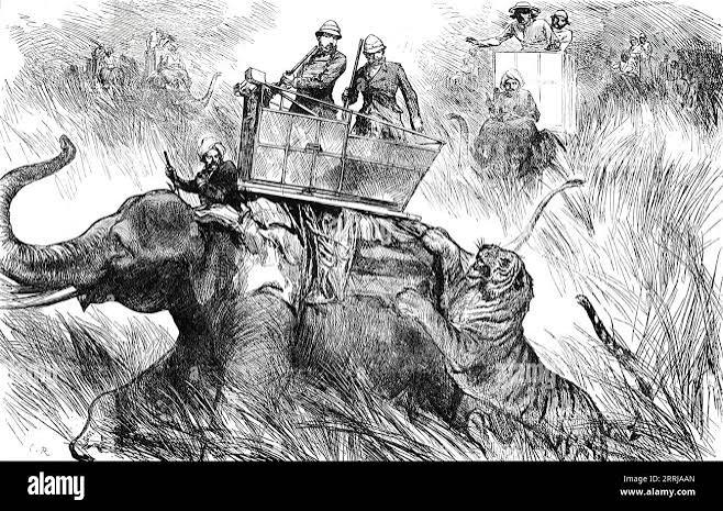 Edward, Prince of Wales, hunting tiger during his state visit to India in 1876. Artist: Unknown Stock Photo - Alamy