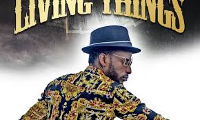 Image result for pictures of 9ice