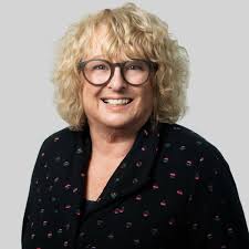 Who can install a VELUX roof window in Perth?