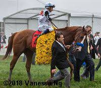 2018 Preakness Results