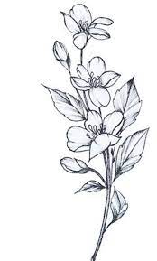 Flowers drawings easy platinumauto co. 42 Simple And Easy Flower Drawings For Beginners Cartoon District 544443042455068474 Easy Flower Drawings Flower Drawing Design Flower Drawing