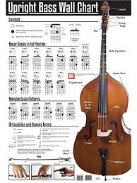 Amazon Com Poster Upright Bass Wall Chart For Double Bass
