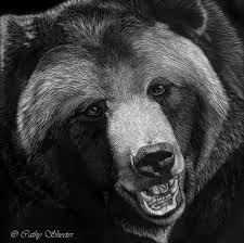 12 Awesome Grizzly Bear Face Drawing Images Grizzly Bear Drawing Bear Face Drawing Bear Drawing