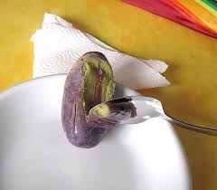 Image result for Pachylobus edulis