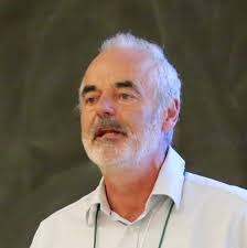 COVID-19 y sus implicaciones para la política nacional y global