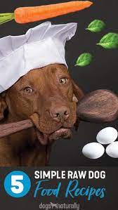 5 Easy To Make Raw Dog Food Recipes Raw Dog Food Recipes Raw Feeding For Dogs Dog Food Recipes
