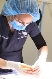 Exotic animal veterinarians near me. Exotic Animal Department Central Hospital For Veterinary Medicine