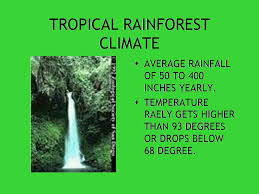 True to its name, these forests experience quite a bit of rain during certain seasons. Tropical Rainforests Biomes Science 8 10 26 07 Biomes Science 8 10 26 Ppt Download