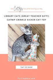 Catnip Kicker Toy With Loud Crinkle Material Library Cats Etsy Cat Toys Catnip Cat Tent
