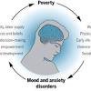 Large scale, protracted violence that we see in places like syria can grind society to a halt, destroy infrastructure people living in poverty don't have the means to weather the storms of life. 1