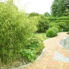Ich würde dem nachbarn freundlich aber bestimmt klar machen, dass es für ihn sehr teuer wird, wenn du seinen bambus in deinem garten entfernen lässt. Bambusgras Im Garten Tipps Und Ideen