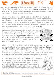 I Fossili Schede Didattiche Per La Scuola Primaria Pianetabambini It Fossili Storia Attivita Di Storia