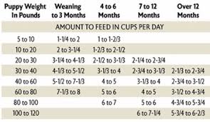 25 methodical puppies diet chart