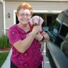 Find puppies and breeders in your area and helpful information. 60 Backyard Breeders Puppy Mills Pet Stores Ideas Puppy Mills Breeders Puppies