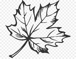Maybe you would like to learn more about one of these? Black And White Flower Clipart Drawing Leaf Illustration Transparent Clip Art