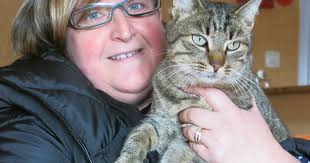 Saint-Pierremont Fait divers. Vosges : plusieurs chats empoisonnés à  Saint-Pierremont