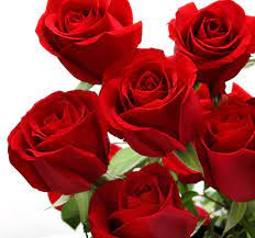 Maybe you would like to learn more about one of these? Rose With Love Love Flowers Roses Valentines Day Wallpapers Hd Desktop And Mobile Backgrounds