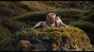 Beyonce And Donald Glover Sing Can You Feel The Love Tonight In This Brand New Clip From Thelionking Expe Lion King Soundtrack Lion King Lion King Tickets