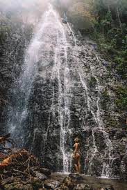 Manoa falls is located at the back of manoa valley, which is quite close to waikiki. Best Waterfall Hikes On Oahu Oahu Hike