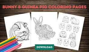 Here you can let your kid imagination and inspiration go wild. Oxbow Animal Health Small Pet Coloring Pages