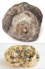 Es ceroso e inflamable, de color gris mate o negruzco, con tonalidades variadas como el mármol. No Se Emocionen Esto No Es Una Geologia En Tu Bolsillo Facebook