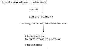 The reactions in model 2 show these electron acceptors in the process of picking up an electron. Cellular Respiration Fermentation And Photosynthesis Diagram Quizlet