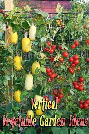 How to plant vertical vegetable garden. Vertical Vegetable Garden Ideas
