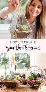 In this diy tutorial, we show you how to make your own terrarium featuring low maintenance cactii and succulents. Create Your Own Terrarium With Anko X Jenny Cookies Hanging Terrarium Diy Hanging Terrarium Diy Succulent Terrarium