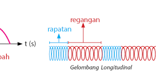 Perambatannya tidak memerlukan medium sehingga dapat merambat diruang hampa. Contoh Gelombang Transversal Dan Longitudinal Beserta Penjelasan Terbaru