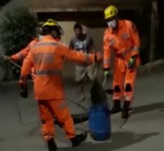 Mas é também realizadora, uma faceta pouco conhecida da atriz. Porco Espinho E Capturado Pelos Bombeiros No Bairro Jose Correia Machado Em Montes Claros Grande Minas G1