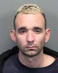 Four arrested suspected in recent home, car burglaries