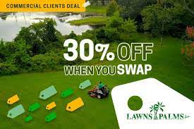 Seminole fl, lawn care is proudly brought to you by lawns and palms, inc. Seminole Lawn Care Lawns And Palms Inc