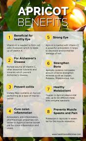 By locking in moisture around individual hair strands, apricot oil makes styling much easier as it leaves your hair shiny, soft, and well nourished. Apricot Facts Health Benefits And Nutritional Value
