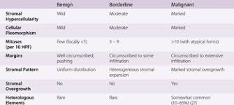 The most common symptom is usually a firm, painless lump in the breast. Breast Chapter 10 Essentials Of Surgical Pediatric Pathology