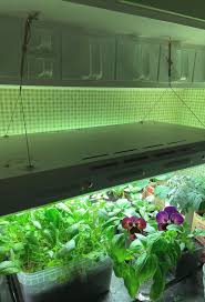 Check spelling or type a new query. Store Bought Or Diy Grow Light Sara S Kitchen Garden
