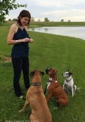 Maybe you would like to learn more about one of these? Dr Brady Brownsburg Animal Clinic Brownsburg In