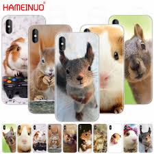 HAMEINUO squirrel Guinea Pig Mouse peanut greedy cell phone Cover case for  iphone X 8 7 6 4 4s 5 5s SE 5c 6s plus