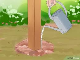 Gently wipe off grayish paste with a towel or stiff rubber brush. How To Remove Fence Posts With Pictures Wikihow