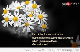 I love receiving flowers quotes. Receiving Flowers Quotes Quotesgram