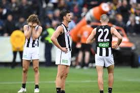The pies would defeat adelaide in adelaide in what would be a night that would… Collingwood S Afl Grand Final Loss To West Coast Reopens Old Magpies Wounds Abc News